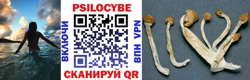 Галлюциногенные грибы Magic Shrooms  где продают   Нальчик 